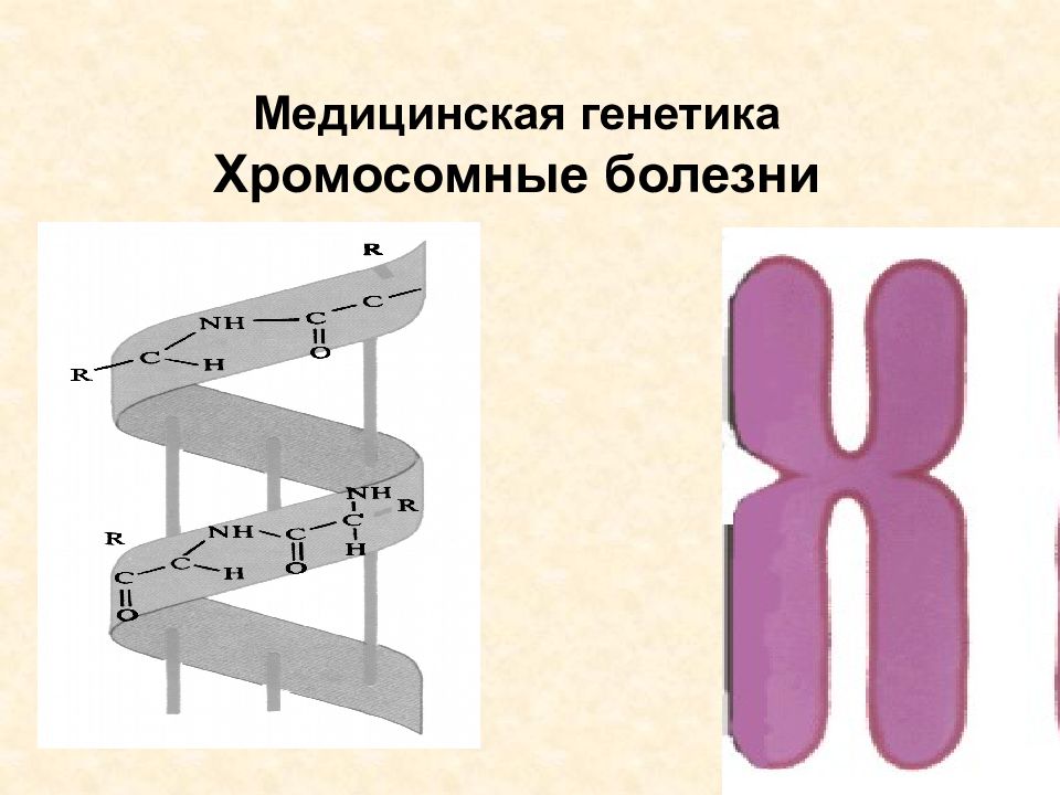 Медицинская генетика Хромосомные болезни