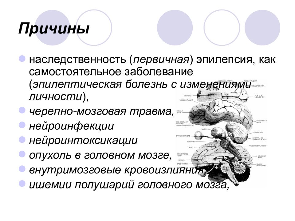 Презентация противосудорожные препараты