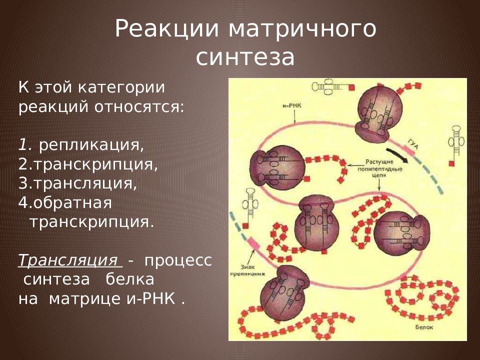 Рассмотрите предложенную схему классификации реакций матричного синтеза