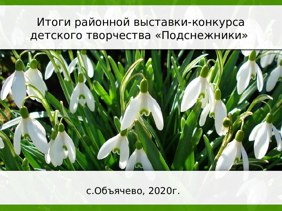 Бунин подснежник читательский дневник. Бунин и. "Подснежник". Рассказ Подснежник Бунин. Бунин Подснежник обложка книги.