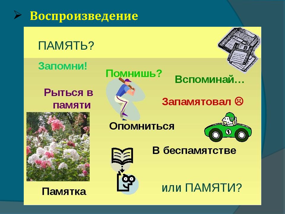 Внимание и память презентация 8 класс