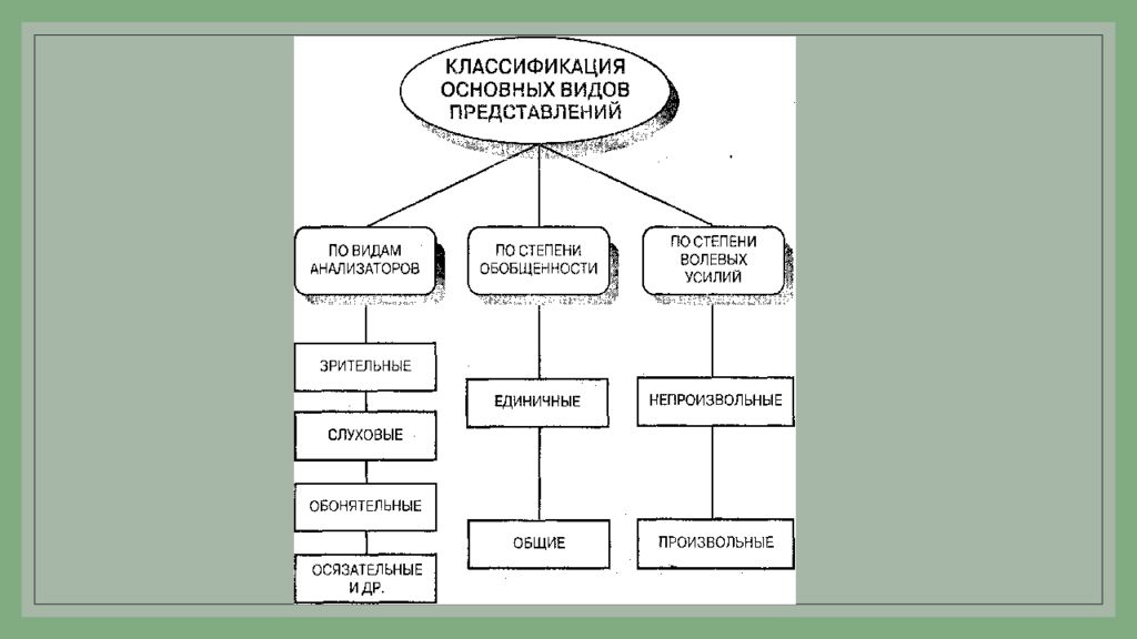 Представление 6 класса