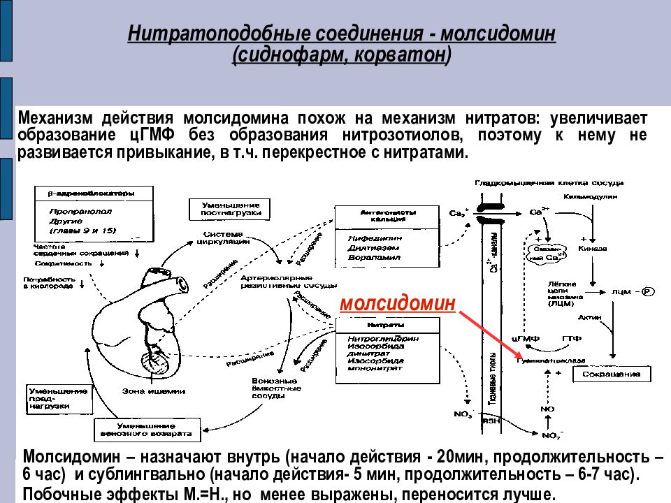 Антиангинальные средства схема