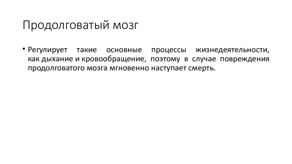 Почему повреждение продолговатого мозга. Повреждение продолговатого мозга. При повреждении продолговатого мозга. Почему повреждение продолговатого мозга небезопасно. Что происходит при повреждении продолговатого мозга?.