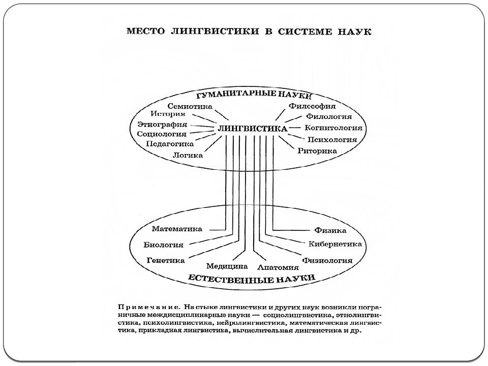 Лингвистика 5 класс конспект урока. Аспекты и разделы языкознания схема. Место языкознания в системе наук схема. Структурная лингвистика схема. Структура научной дисциплины языкознания схема.