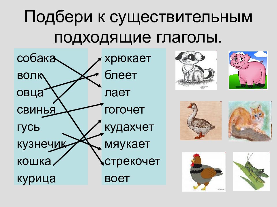 Используя рисунок приведите по два примера