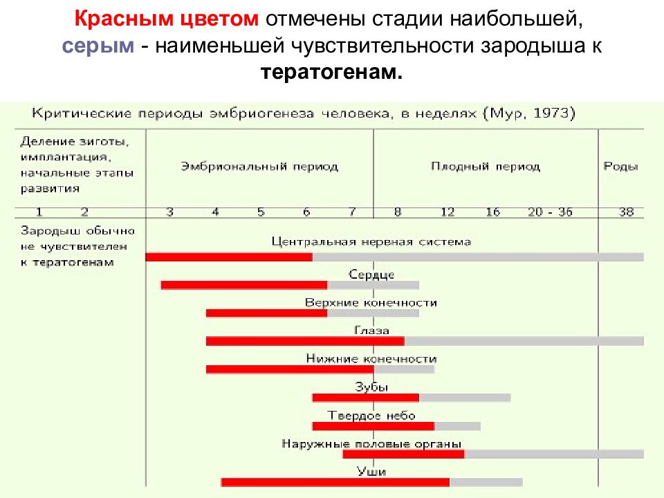 Ошибка развития. Критические периоды развития в эмбриогенезе. Критические периоды эмбриогенеза таблица. Критические периоды в эмбриогенезе человека. Критические периоды эмбриогенеза человека таблица.