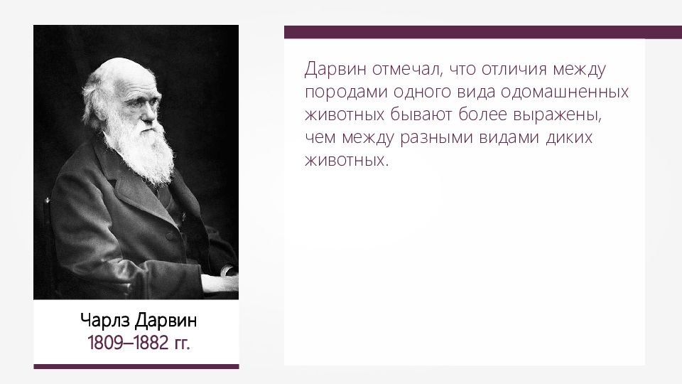 Основоположник эволюционного учения был. Эволюционное учение Дарвина 1859. Основоположники современной теории эволюции. Кто является основоположником эволюционной теории. Основоположники современной теории эволюции Дарвин и.