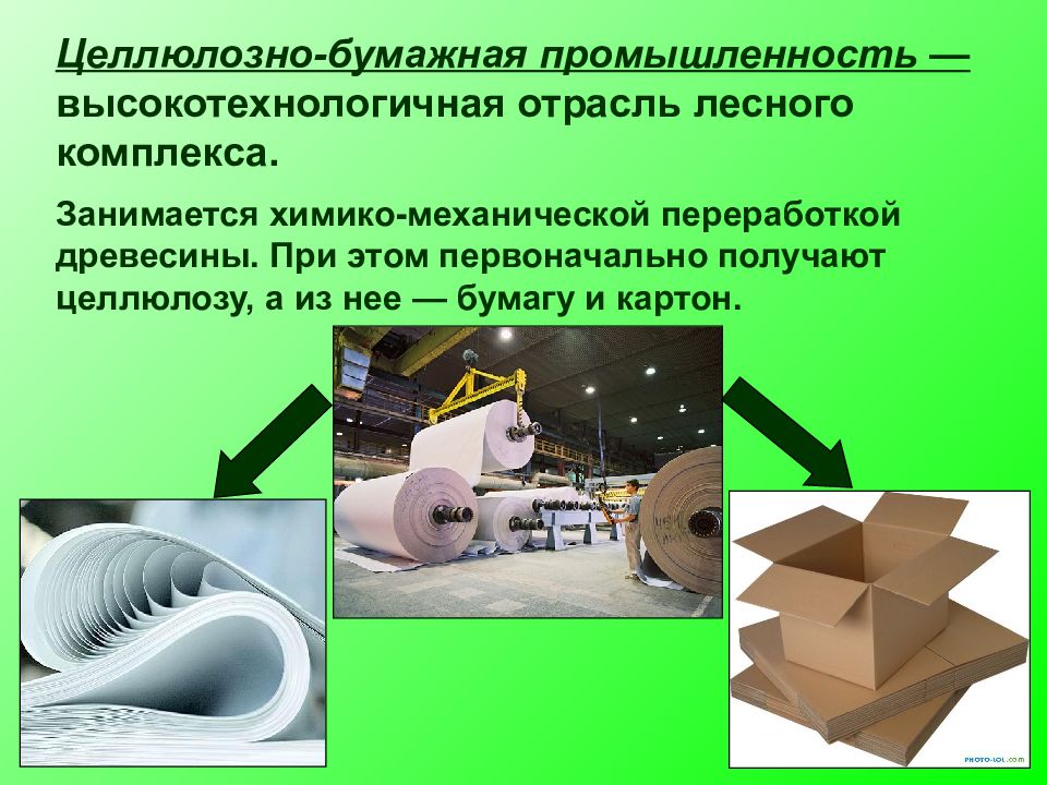 Бумажная промышленность. Продукция целлюлозно-бумажной промышленности. Химико-механическая переработка древесины. Лесная и целлюлозно-бумажная промышленность. Переработка древесины целлюлозно бумажная промышленность.