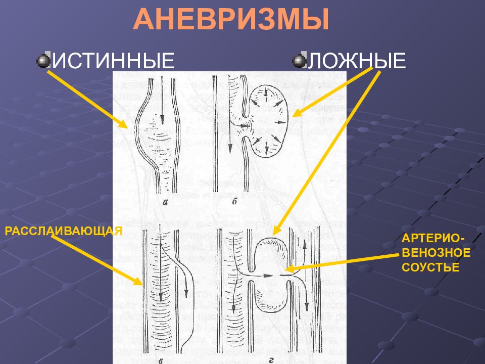 Презентации по топографической анатомии