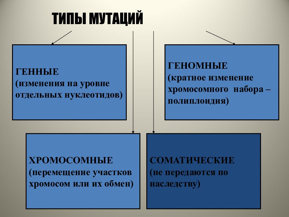 Мутагены их влияние на здоровье человека презентация