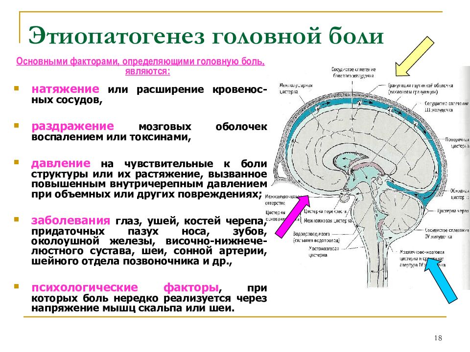 Расширения пространства головного мозга. Базальные цистерны головного мозга. Цистерны подпаутинного пространства головного мозга. Базальные цистерны головного мозга анатомия. Желудочки мозга и цистерны подпаутинного пространства.