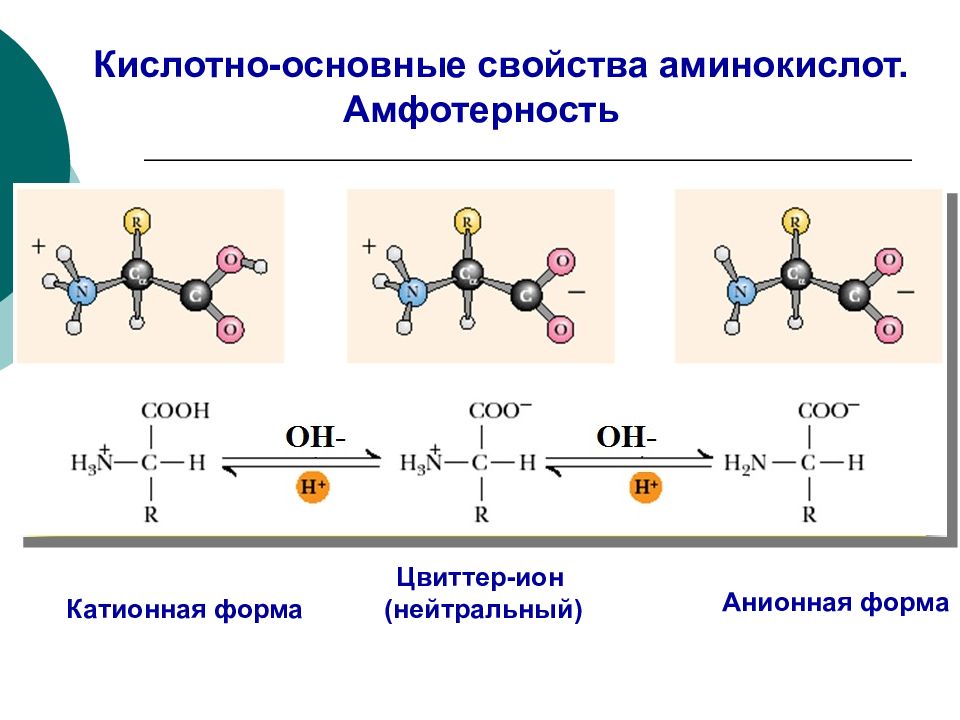 Кислотные соединения. Цвиттер ионы аминокислот. Образование цвиттер-ионов аминокислот. Образование цвиттер Иона аминокислот. Структура цвиттер-Иона аминокислот.