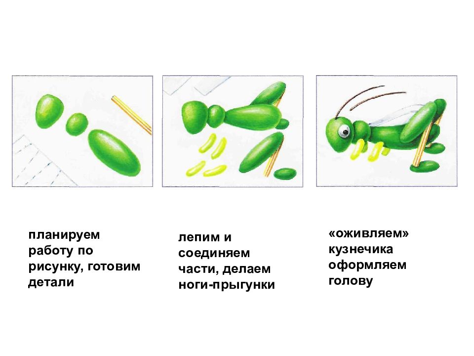 Насекомые из пластилина для дошкольников пошагово картинки