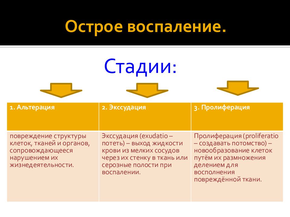 Фазы воспаления