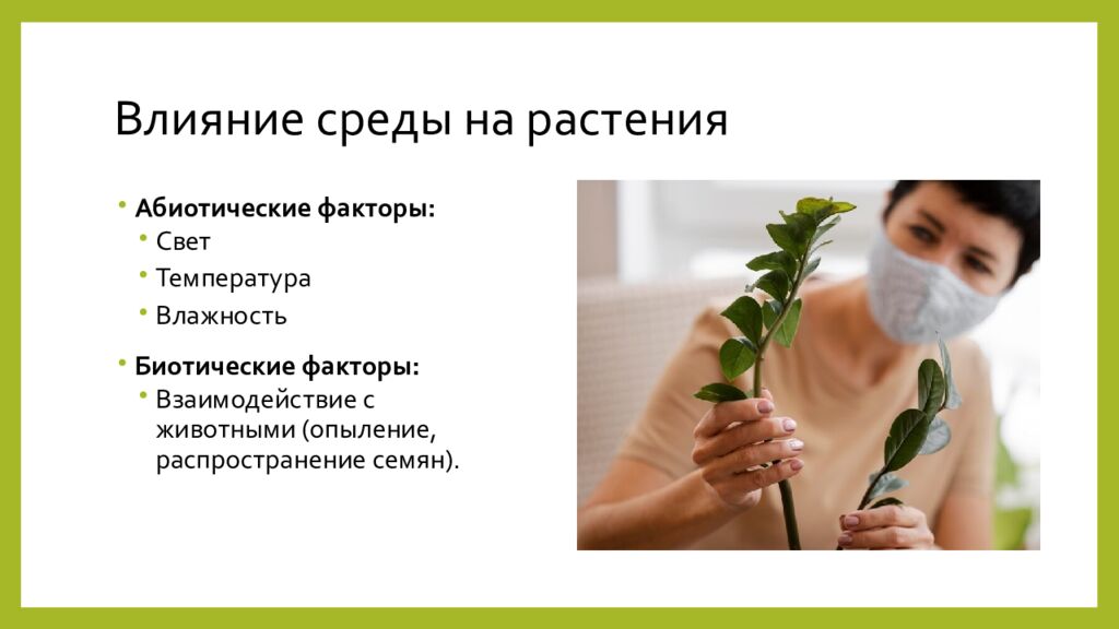 Влияние среды на растения