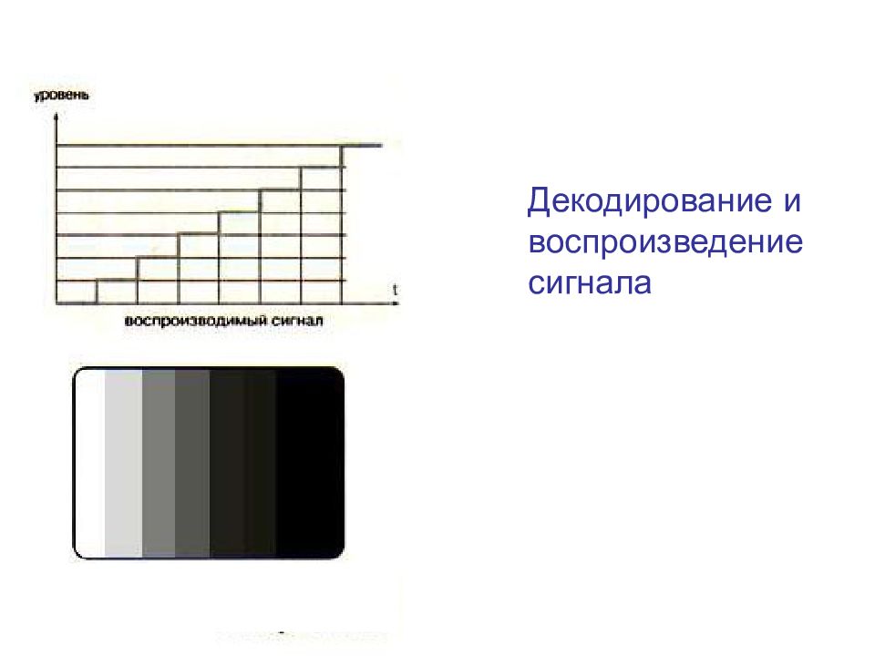 Цифровое телевидение