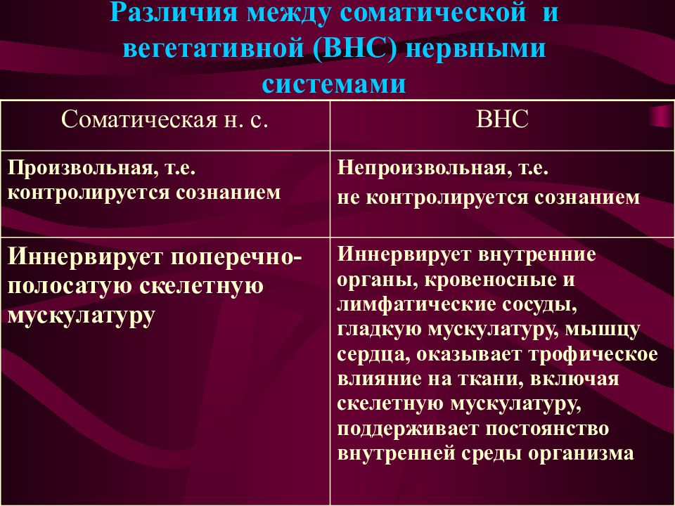 Соматическая и вегетативная нервная система презентация 8 класс