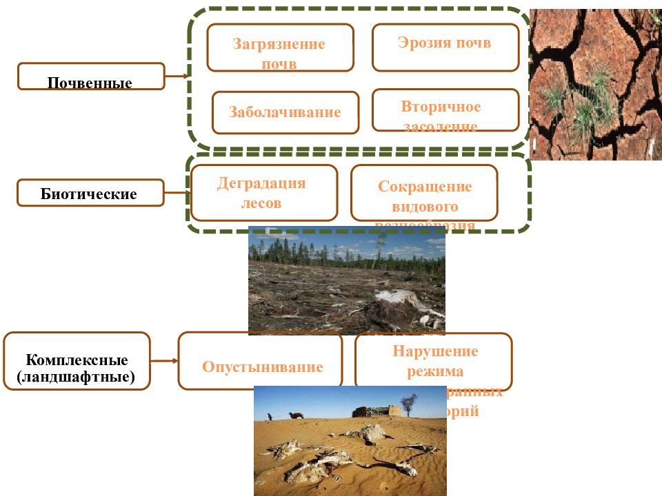 Виды эрозии почв. Эрозия почвы схема. Эрозия почв решение. Эрозия почв, засоление, заболачивание, опустынивание.. Причины эрозии почв.