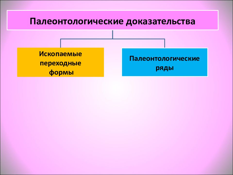 Палеонтологические доказательства переходные формы. Переходные ряды.