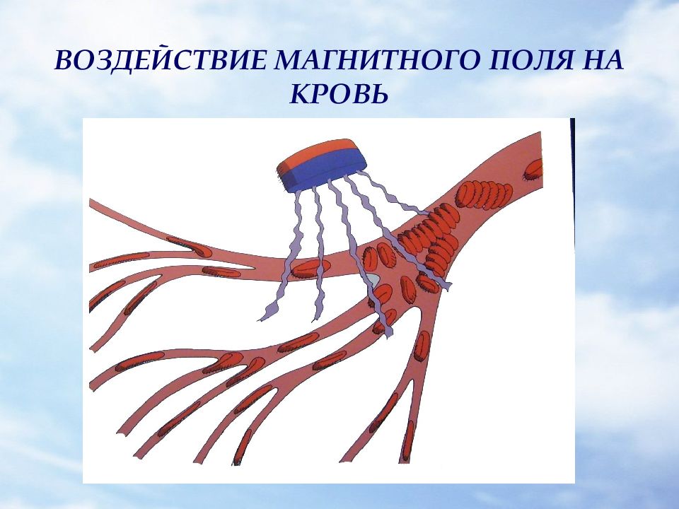 Магнитное влияние. Магнитное поле крови. Магнитотерапия украшения. Магнитное воздействие. Магнитное поле 50гц для очищения крови.