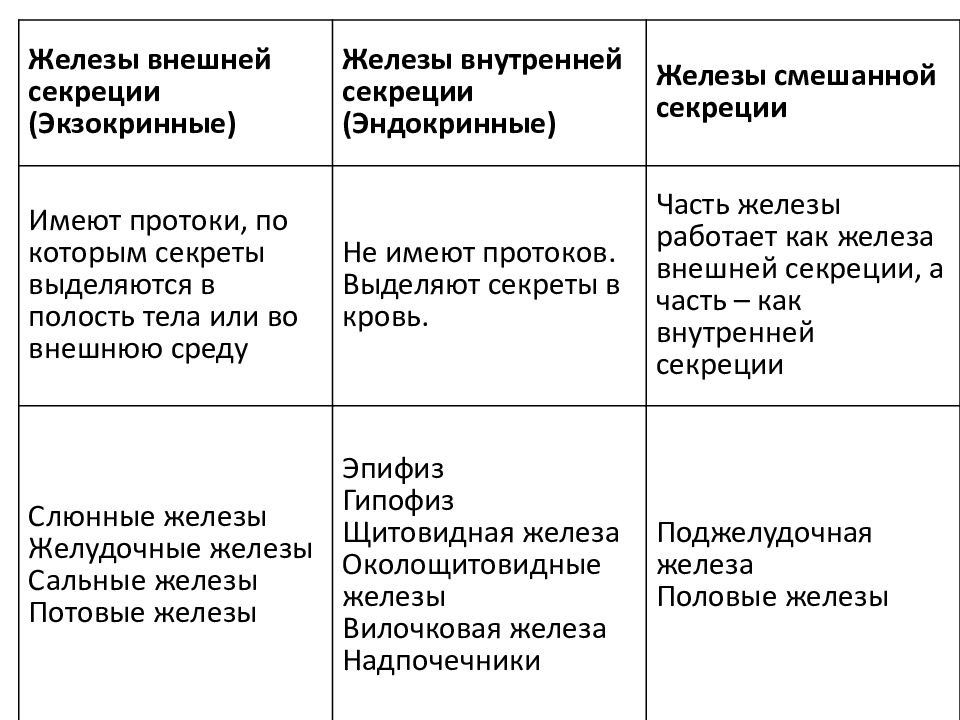 Для внутренней секреции характерно