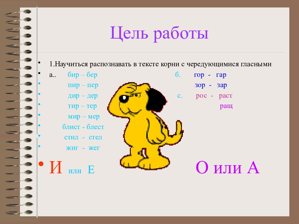 1 научись. Порода собак бер или бир.