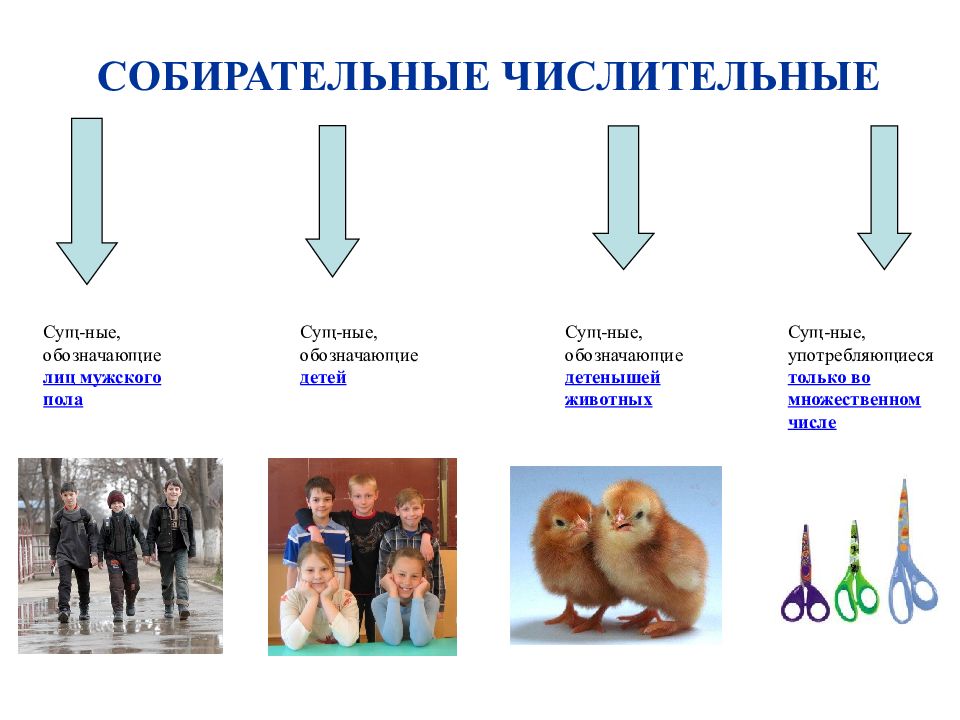 Собирательные числительные 6 класс презентация