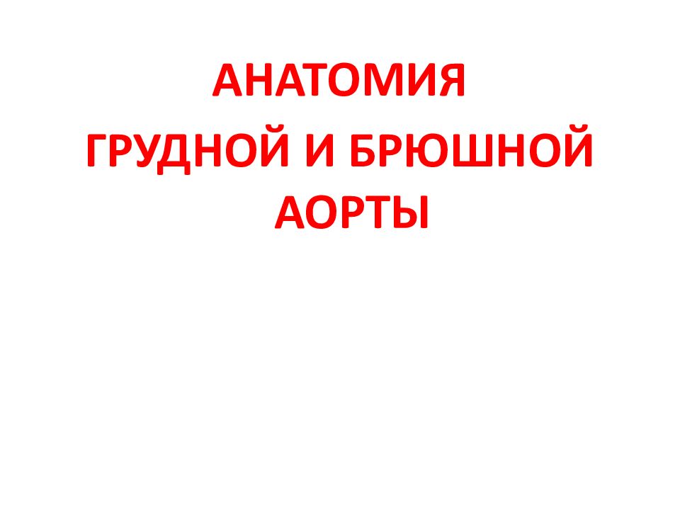 АНАТОМИЯ ГРУДНОЙ И БРЮШНОЙ АОРТЫ