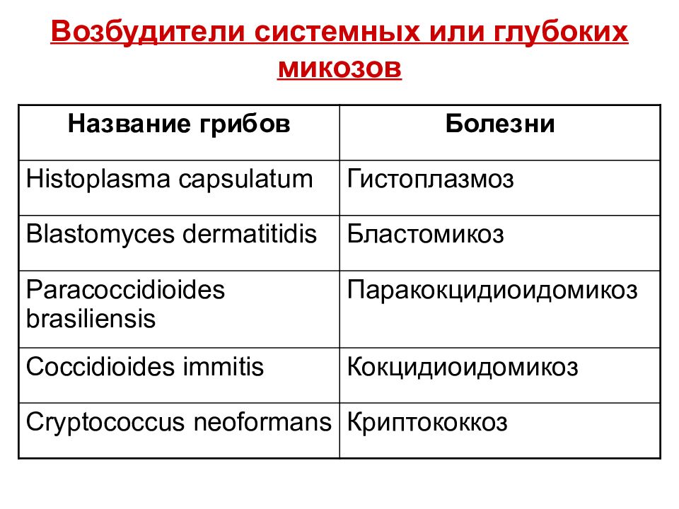 Возбудители грибковых инфекций презентация