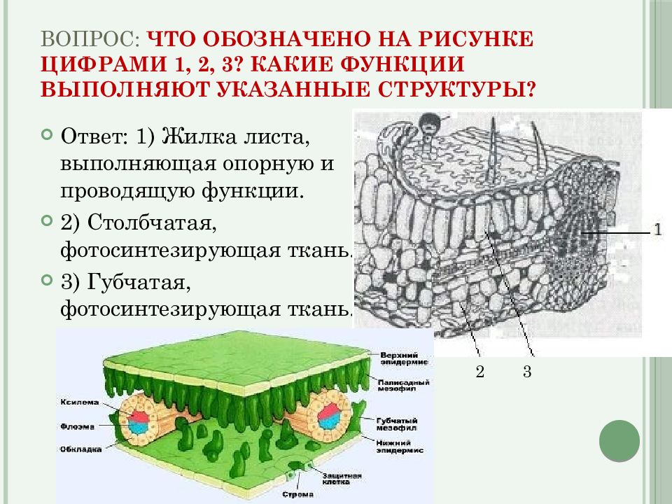 Что обозначено на рисунке цифрами 3