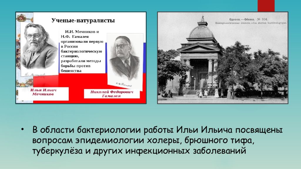 Мечников владивосток. Научная деятельность Мечникова. Научная деятельность Ильи Ильича Мечникова. Бактериологическая станция Мечникова. Гамалея и Мечников.