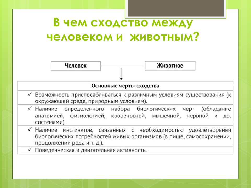 Презентация сходство человека с животными и отличие от них