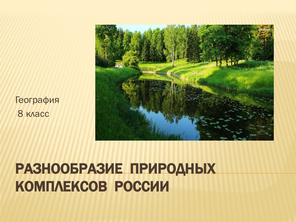 Разнообразие природных комплексов россии презентация 8 класс география