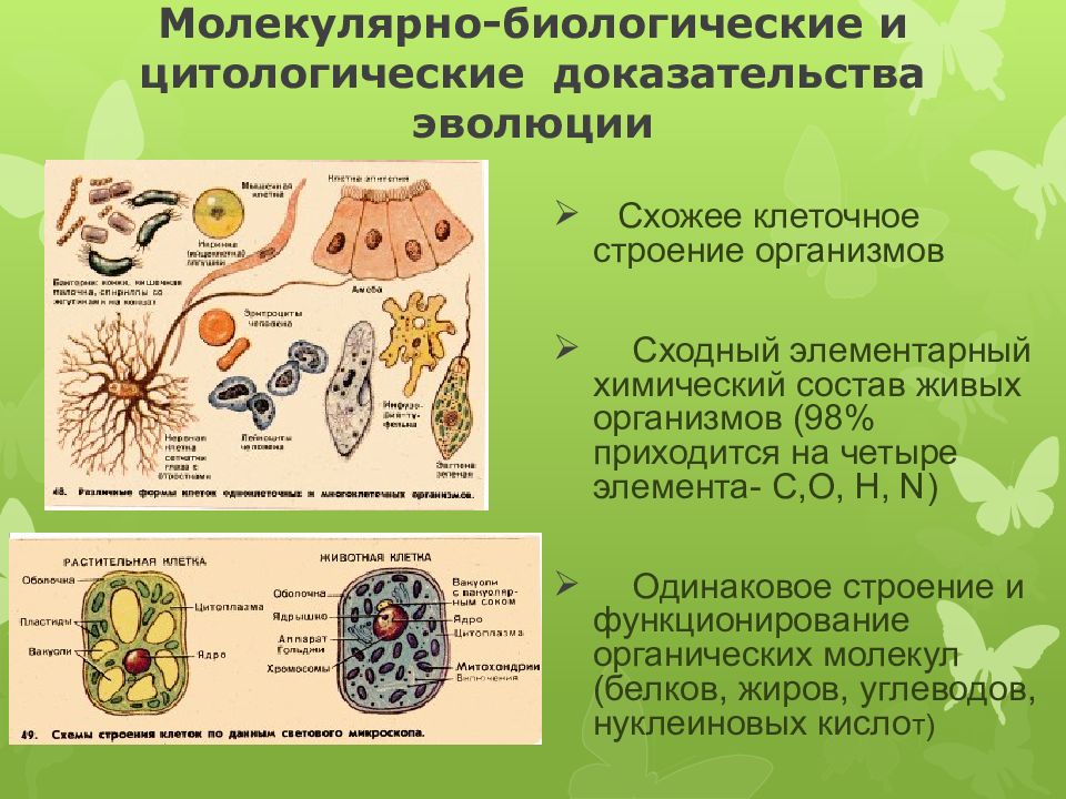 Доказательства эволюции картинки