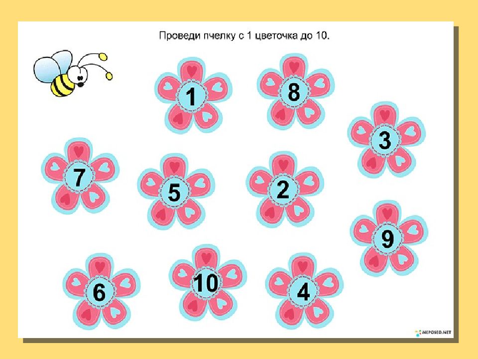 Сколько цветочков поместится. Математические цветочки. Цветочки с цифрами. Цветочки с цифрами до 10. Цветочная математика для дошкольников.