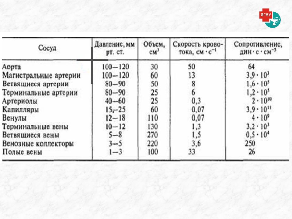 Реология крови презентация