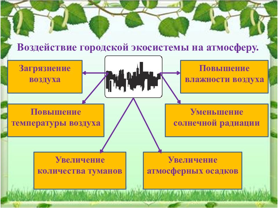 Социальная экология презентация