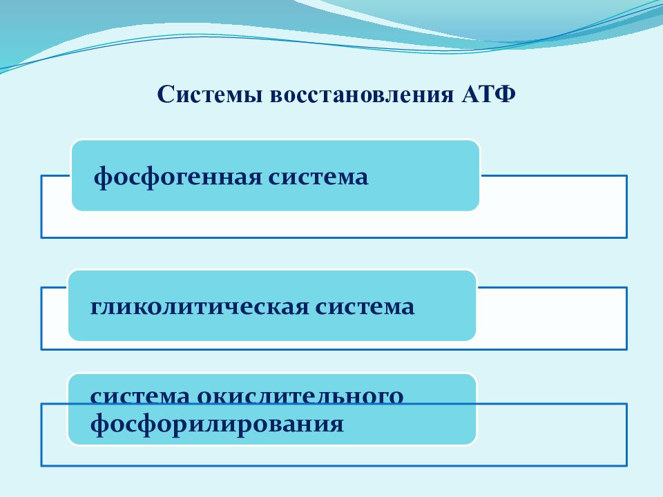 Восстанавливающие системы. Системы восстановления АТФ. Восстановление структуры. Система регенерации. Виды восстановления физиология.