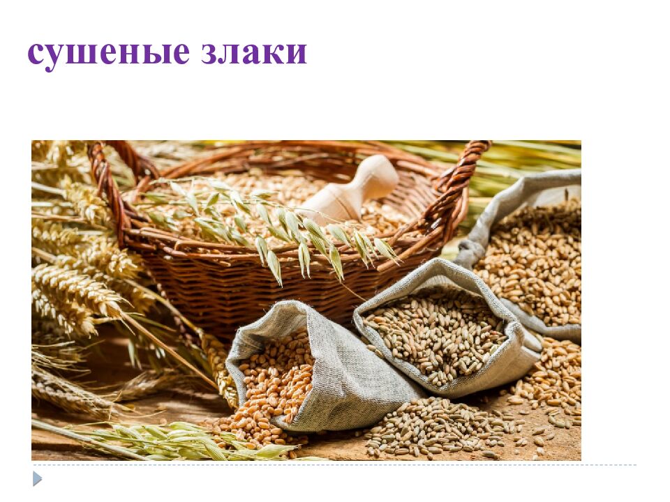 тема: « Башкирская национальная кухня »