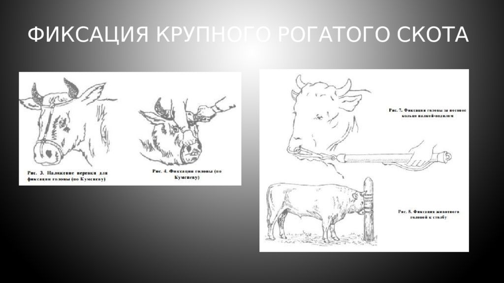 Столы для фиксации с х животных и указать для каких животных используются