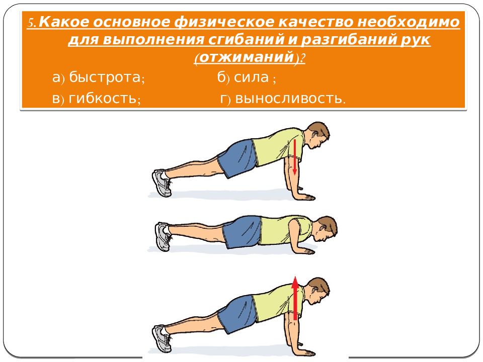 Отжимание 5 класс. Сгибание и разгибание рук в упоре лежа. Сгибание и разгибание рук в упоре лёжа (отжимание). Упражнение сгибание и разгибание рук в упоре лежа. Сгибание и разгибание рук в упоре лежа техника выполнения.