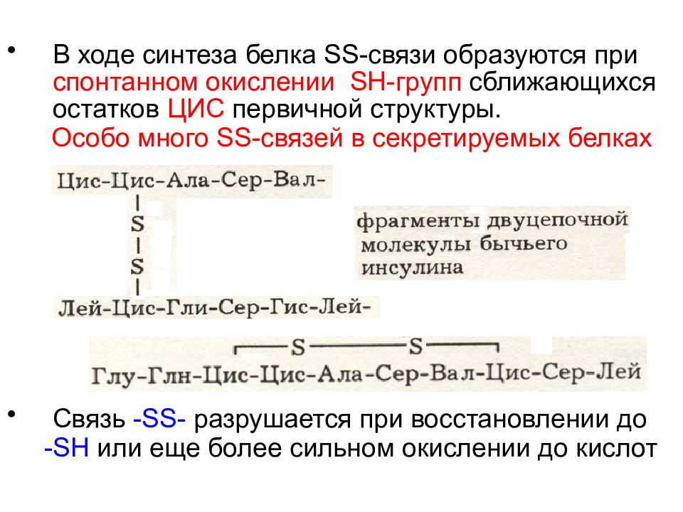 Окисление белков. Механизмы окислительной модификации белков. Окислительная модификация белков. S-S связь в белках. Спонтанное окисление.