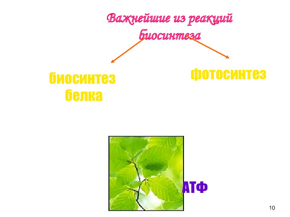 Мир как единое целое презентация