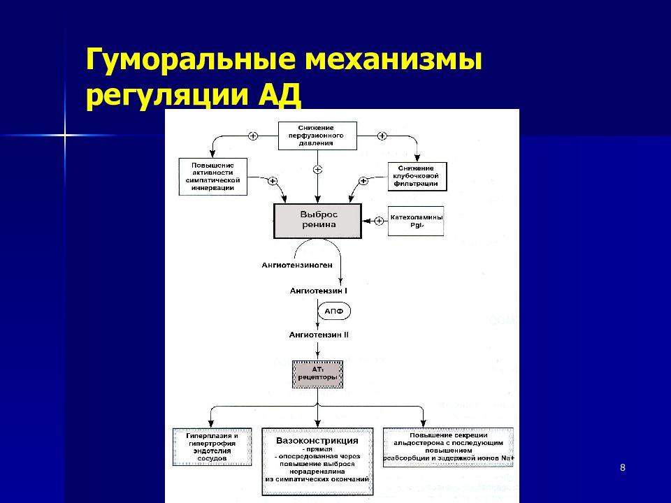 Гуморальный механизм. Гуморальная регуляция механизм регуляции. Нервно-гуморальный механизм регуляции. Факторы гуморального механизма регуляции. Гуморальный механизм регуляции гемостаза.