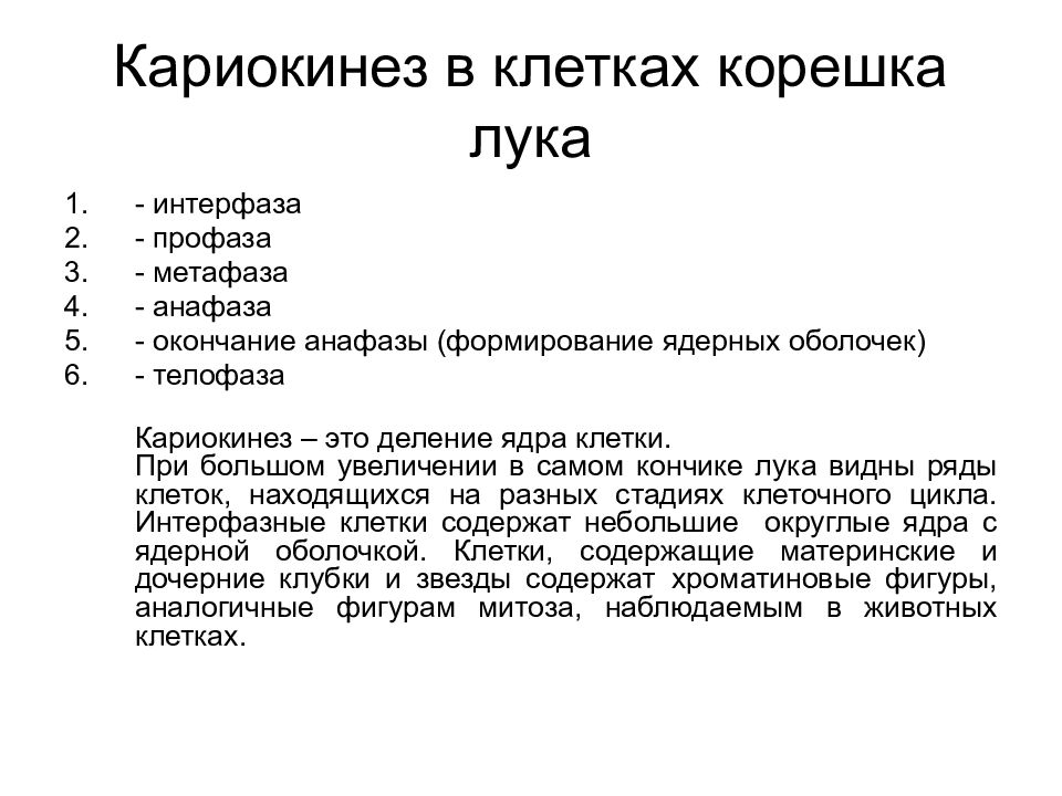 Клетках корешка. Кариокинез. Митоз кариокинез и цитокинез. Кариокинез это в биологии. Цитогенез и кариогенез.