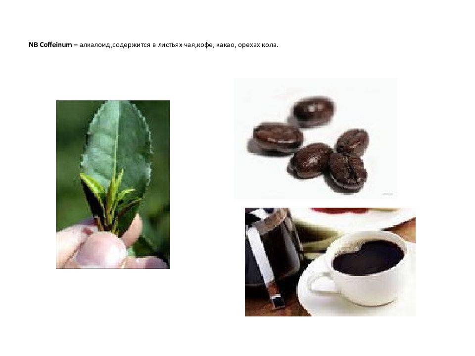 Алкалоид в чайных листьях. Алкалоиды в чае. Алкалоиды кофе. Алкалоиды кофейного зерна. В кофе содержится алкалоид.