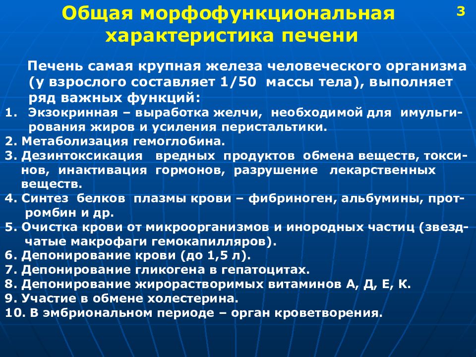 Самая крупная железа в человеческом организме. Морфофункциональная характеристика поджелудочной железы. Морфофункциональная характеристика печени. Общая морфофункциональная характеристика печени. Морфофункциональные особенности поджелудочной железы.