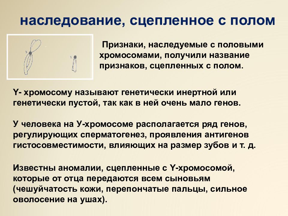 Презентация на тему генетика пола сцепленное с полом наследование 9 класс