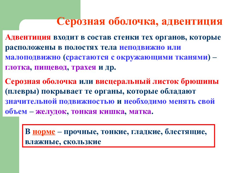 Серозная оболочка. Адвентиция и серозная оболочка. Серозная и адвентициальная оболочка отличия. Серозные полости организма человека. Серозные оболочки человека.